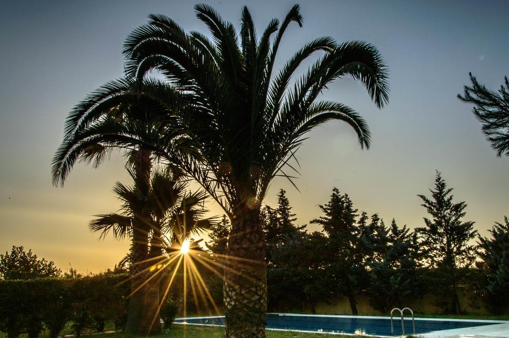 Leone Luxury Villas Καλαμάκι Εξωτερικό φωτογραφία