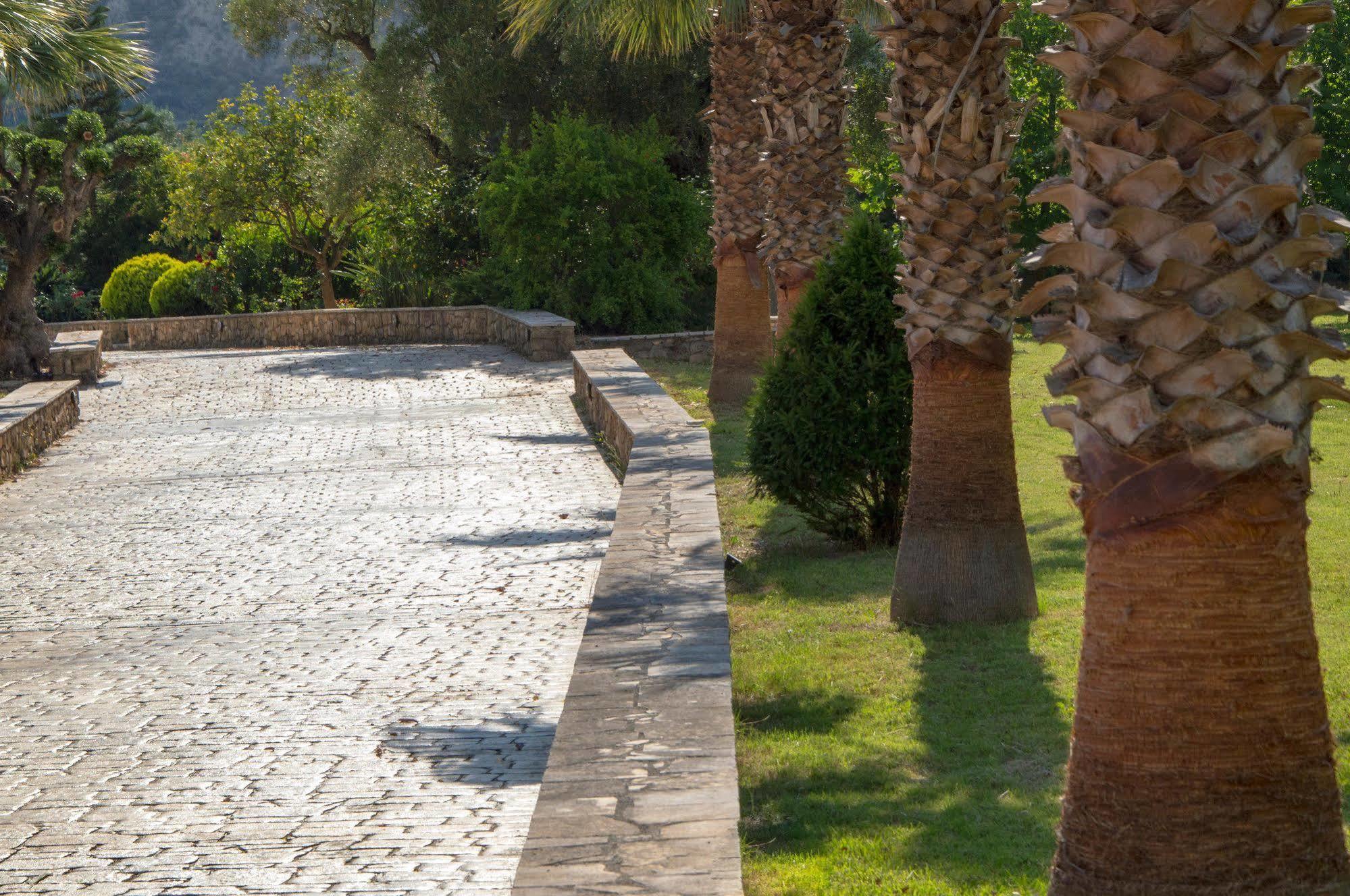 Leone Luxury Villas Καλαμάκι Εξωτερικό φωτογραφία