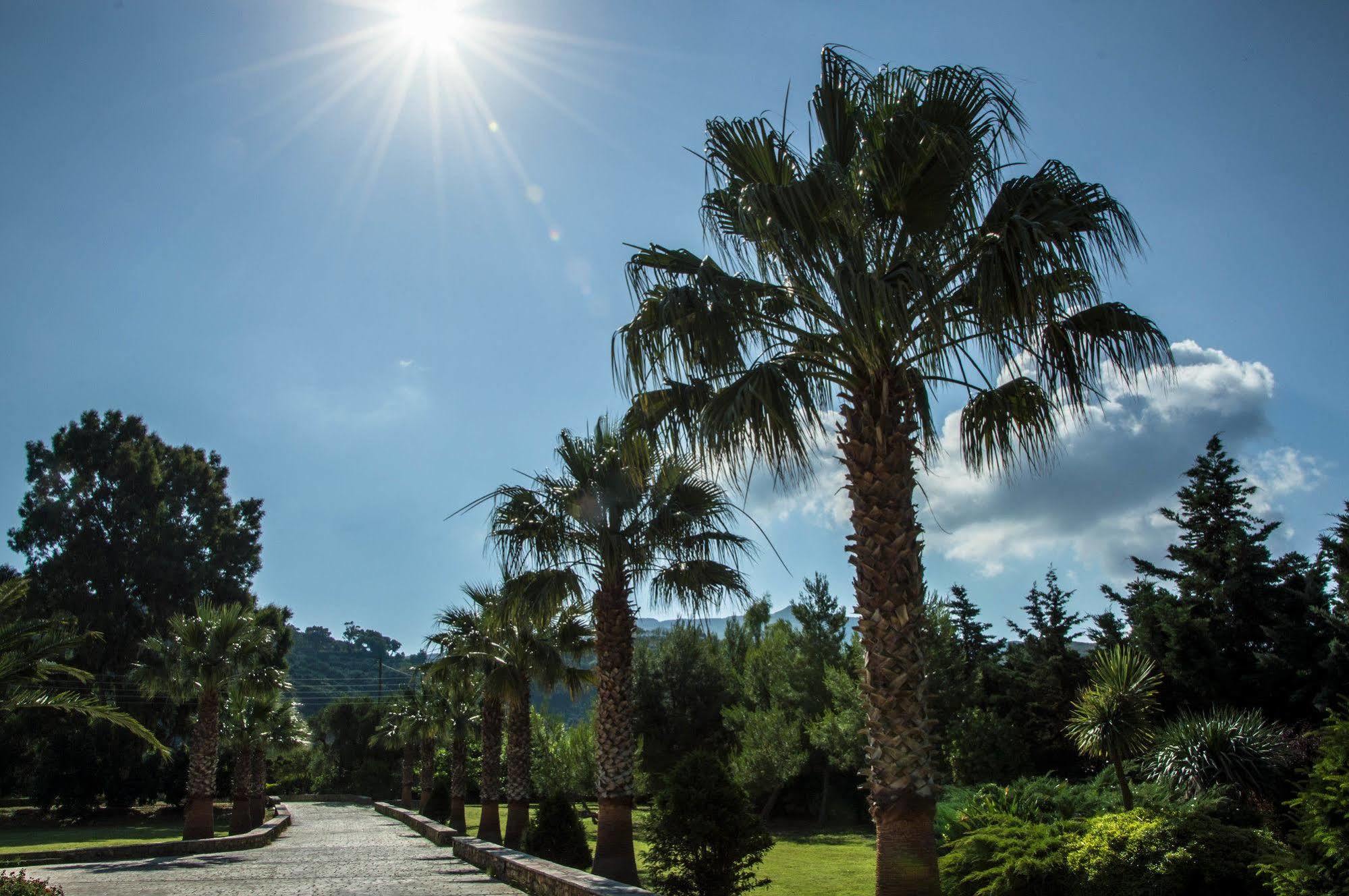 Leone Luxury Villas Καλαμάκι Εξωτερικό φωτογραφία